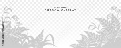 The effect of applying a transparent shadow. Shade from grass, ferns and herb. Abstract background for product presentation