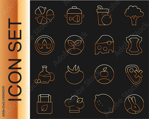 Set line Rabbit, No meat, Leather, Fresh smoothie, Sprout, Vegan food diet, Acorn and Cheese icon. Vector