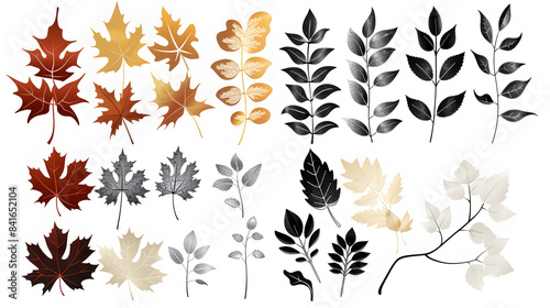 Clipart illustration of silhouette leaves set autumn on a white background, for landscape plan and architecture layout drawing, elements for environment and garden.[A-0003]