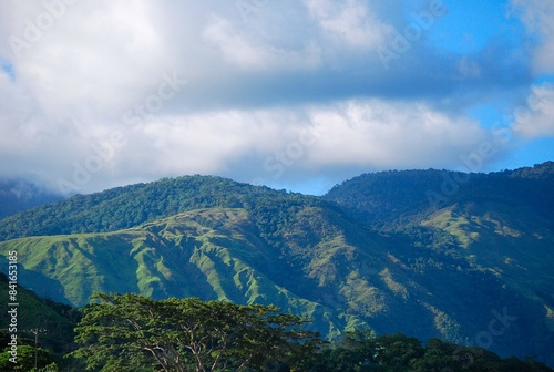 El verdor es una constante en la region,frondosas montañas y arboles muy verdes todo esto es Yaracuy. © FILIPPO