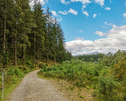 Hiking trail near Loch Ard, in Loch Lomond and the Trossachs National Park of Scotland, with pine forest to the side and mountain in background