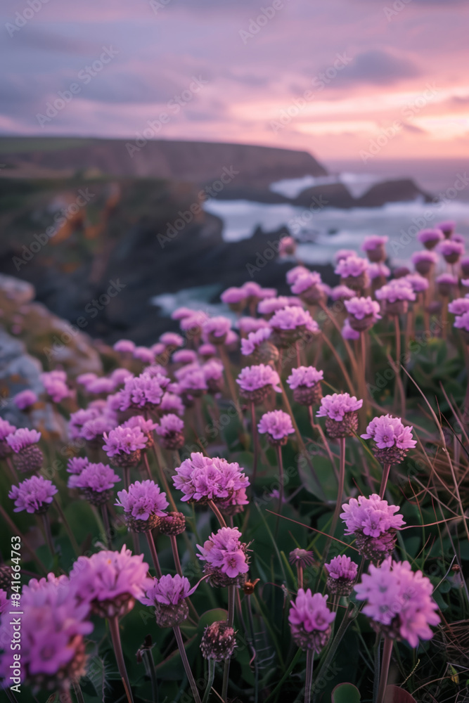 Obraz premium Sunset landscape of rocky coastline overlooking the sea and mountains with tropical plants