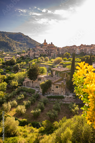 Cityscape of Valldemossa, Majorca during sunset, vertical shot, flowers in front, Mallorca