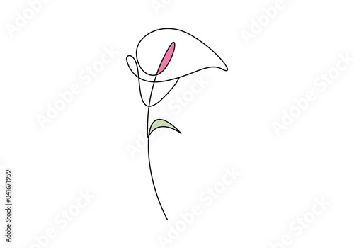Calla lily one continuous line drawing vector illustration  