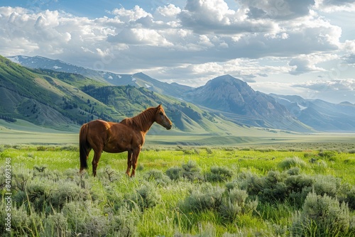 A horse in a grassy field with mountains in the background