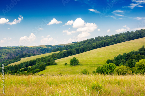 mountain landscape with grassy meadow and forest on the hill. beautiful view of ukrainian carpathians beneath a blue sky with clouds. rural outdoor adventures in summer