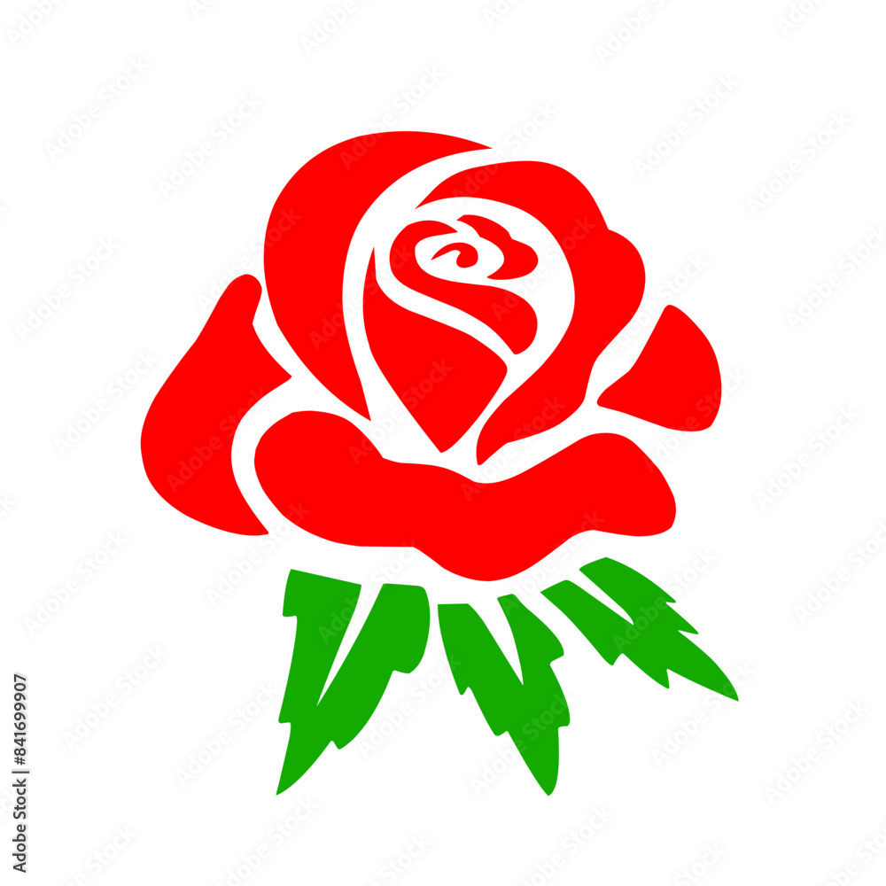 Rose Flower illustration Rose Flower illustration