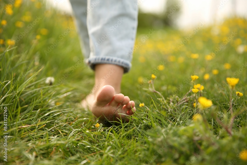 Woman walking barefoot on green grass outdoors, closeup Woman walking barefoot on green grass outdoors, closeup
