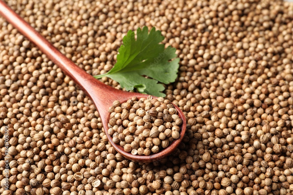Dried coriander seeds, spoon and green leaf, closeup Dried coriander seeds, spoon and green leaf, closeup