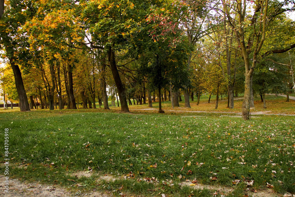 Beautiful autumn park scene with green foliage and falling leaves. Park in fall with lush green grass and seasonal foliage. Autumn fall park. Banner for design Beautiful autumn park scene with green foliage and falling leaves. Park in fall with lush green grass and seasonal foliage. Autumn fall park. Banner for design