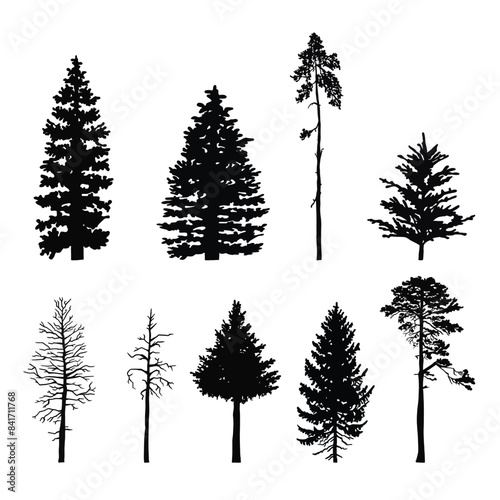 Set of silhouettes of coniferous trees, fir trees, pine trees. illustration