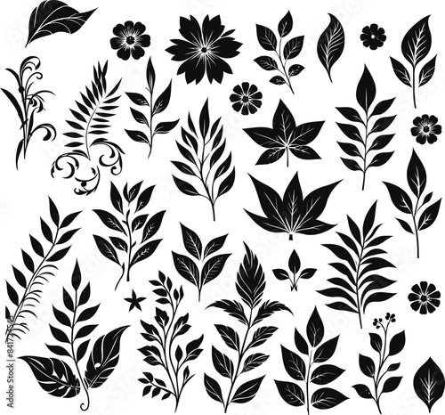 Vector Jungle Leaves Silhouettes Sublimation