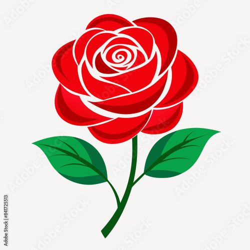 red rose isolated on white background © fahim
