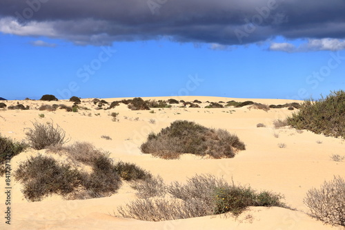 Fototapeta Naklejka Na Ścianę i Meble -  View of the dune Corralejo on the Canary island of Fuerteventura