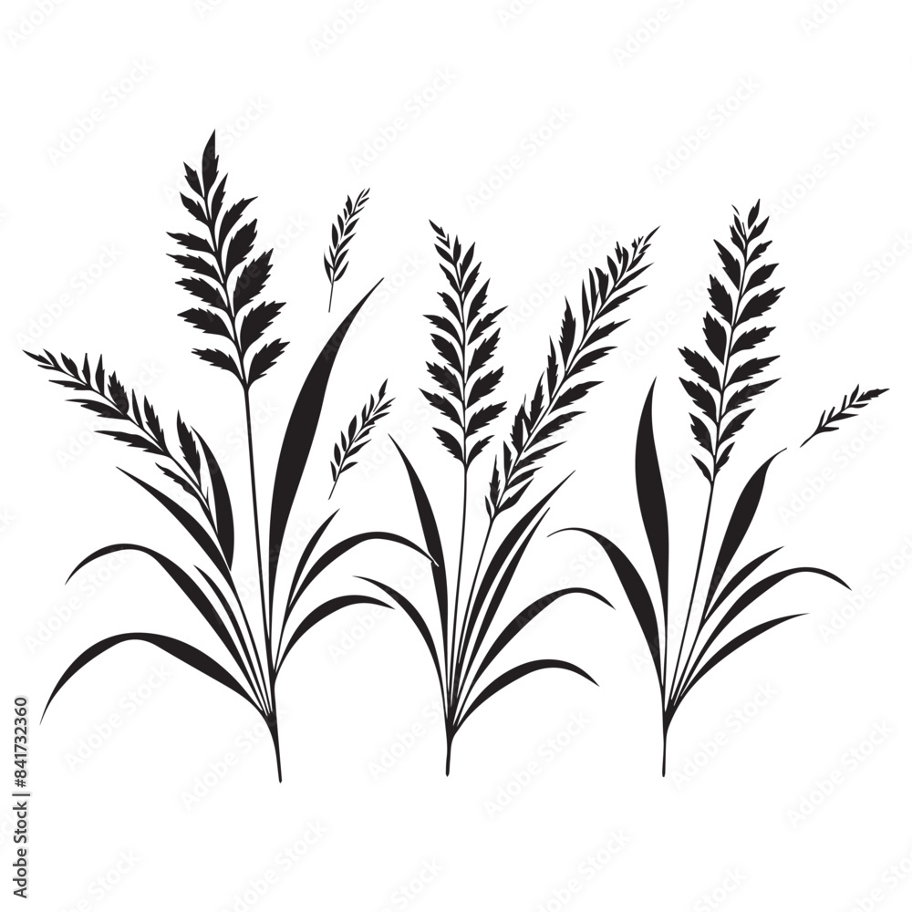 Flat design flower silhouettes illustration Flat design flower silhouettes illustration