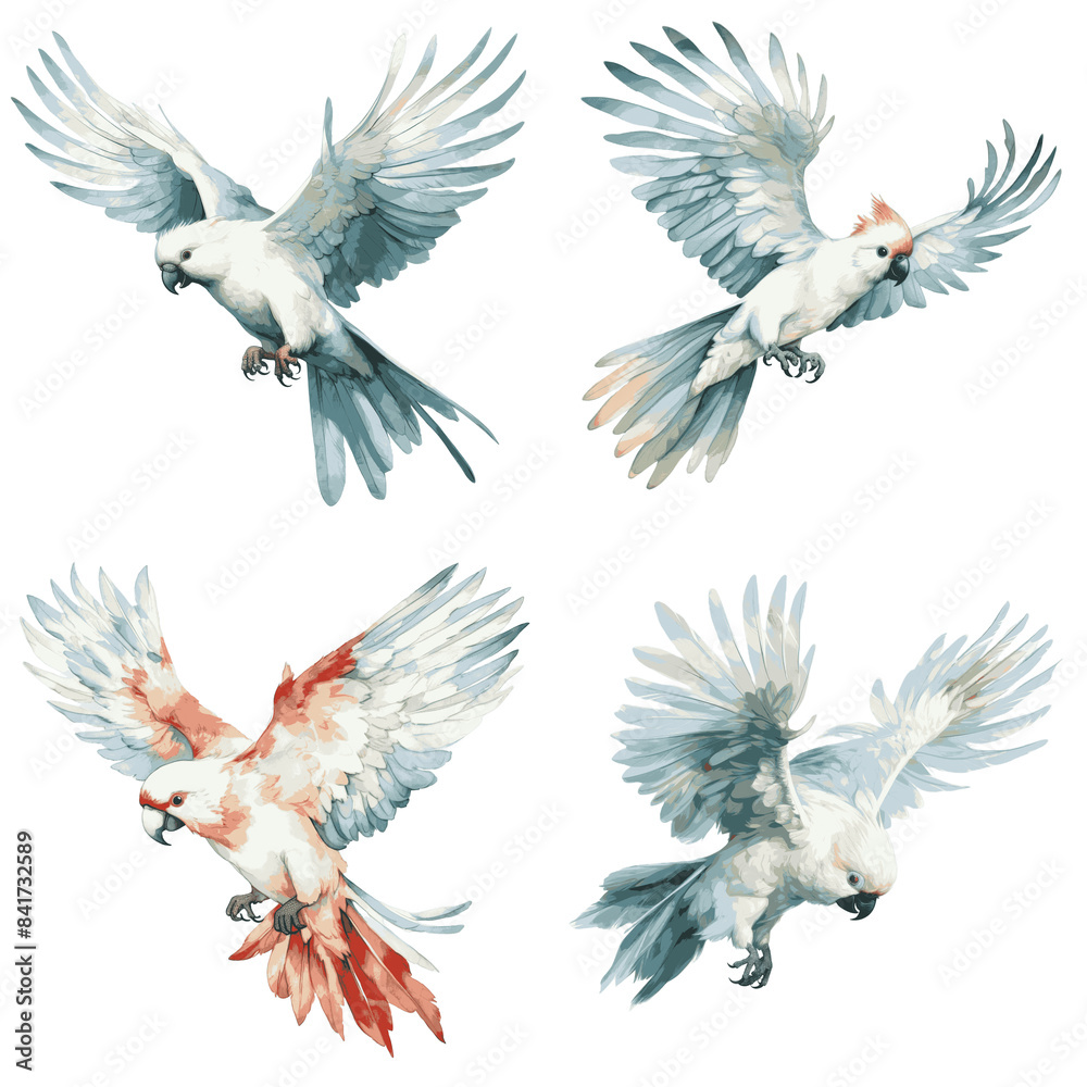 Obraz premium A digital watercolor illustration of four cockatoos flying in different directions against a white background