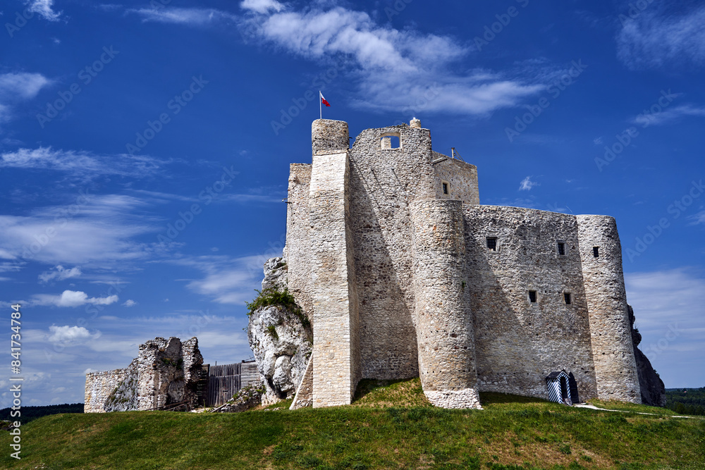 Ruins of a medieval castle on limestone rocks in the village of Mirow Ruins of a medieval castle on limestone rocks in the village of Mirow