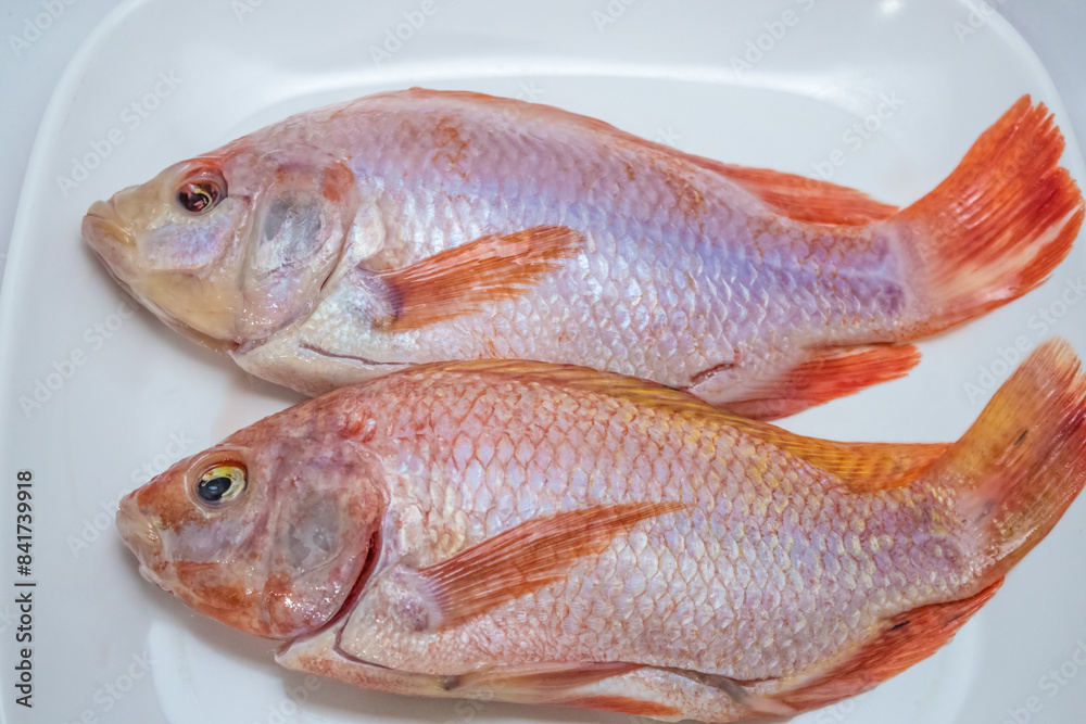 Nile tilapia (ikan nila) is widely consumed in Indonesia. Raw nile tilapias on top of a white rectangular plate. Nile tilapia (ikan nila) is widely consumed in Indonesia. Raw nile tilapias on top of a white rectangular plate.