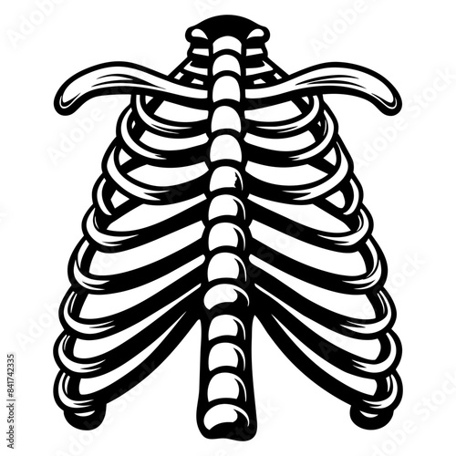 Detailed black and white human ribcage for educational, graphic design element, halloween decoration, and scientific study purposes