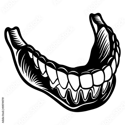Detailed black and white illustration of human jawbone. Teeth. And skull for educational. Medical. And scientific purposes. Including anatomy. Bone structure. Dental morphology