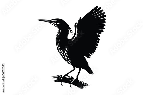 Bittern Bird Vector Silhouette Illustration