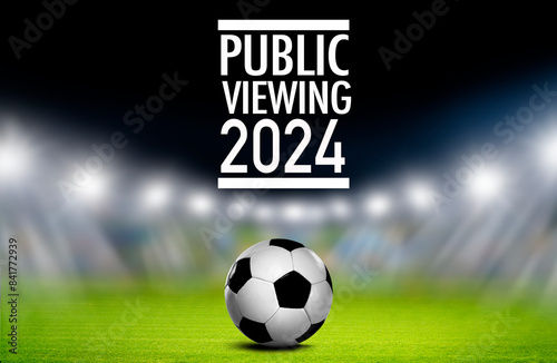Public Viewing Fußball 2024