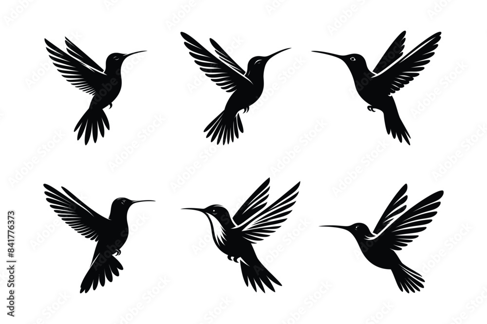 Fototapeta premium Humming Bird Vector Silhouette Illustration