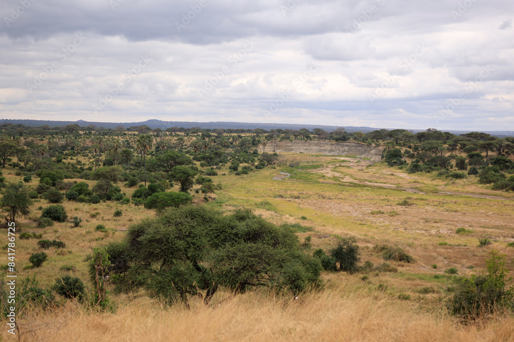 Landscape of Tarangire National Park, Tanzania, East Africa. Landscape of Tarangire National Park, Tanzania, East Africa.