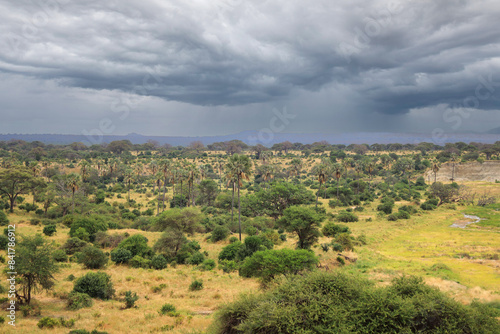  Landscape of Tarangire National Park, Tanzania, East Africa.