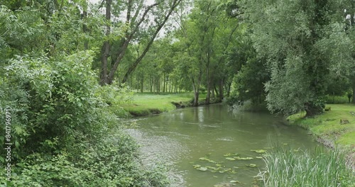 Paysage de campagne en Touraine. Contournement d'un petit bras de l'Indre au lent débit, s'écoulant entre végétations denses et prairies verdoyantes photo