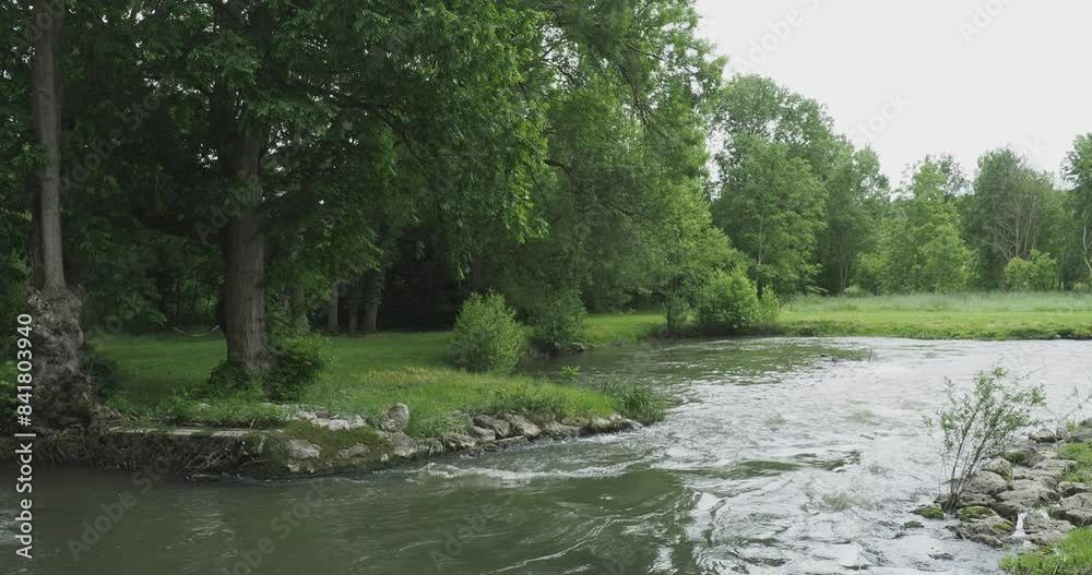 Paysage bucolique de Touraine. Un bras sinueux de l'Indre au débit rapide traversant une clairière bordée d'arbres le long de prairies verdoyantes