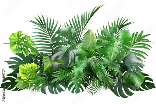 Lush Arrangement of Green Leaves from Various Tropical Plants on White Background