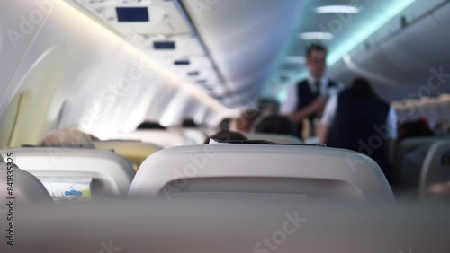 A steward and stewardess offer services to passengers seated in the cabin, ensuring comfort and satisfaction. Their attentive services enhance the in-flight experience.