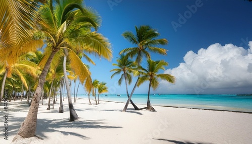 beautiful white sandy beach in cap cana dominican republic