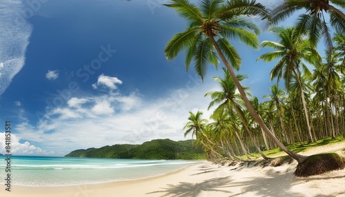 panorama of tropical beach with coconut palm trees