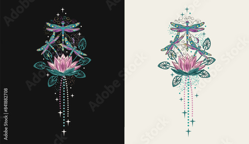 Vertical colorful fantasy composition with lotus flower, flying fantasy dragonflies, dragonfly pixie, faerie, stars. Mysterious, mystical concept. Vintage style.