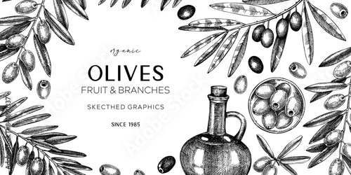 Olive oil banner design. Olives, tree branches, oil bottle sketches. Mediterranean food background in vintage style. Hand-drawn vector illustration. NOT AI generated.