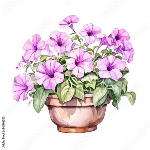 Vibrant Watercolor Petunias Blooming in Decorative Pot