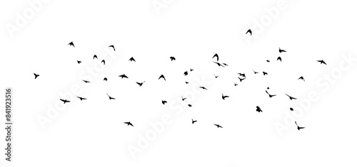 Flying birds silhouette flock. Not AI, Free birds abstraction . Vector illustration