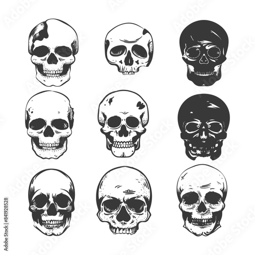 Nine Skulls Sketch Set: Variety of Grayscale Anatomical Studies on White.