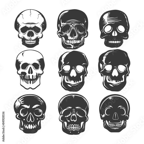 Skull Collection: Vintage, Hand-Drawn Skull Illustrations on White Background