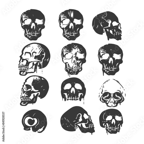 Sketched Skull Grid: Twelve Diverse Human Skulls in Ink, Different Angles, Isolated on White.