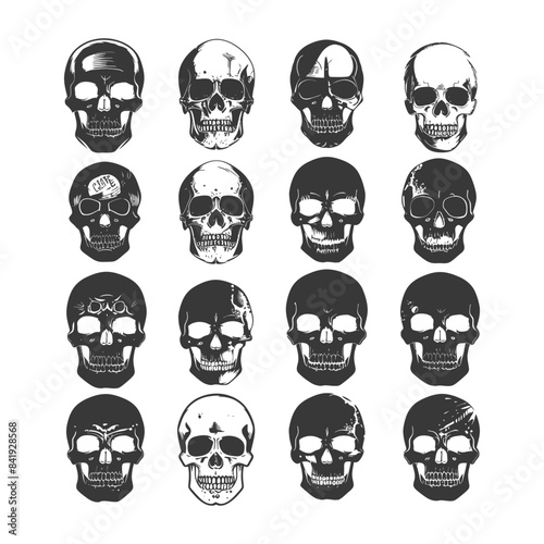 Grid of Sixteen Varied Engraved Skull Illustrations on White.