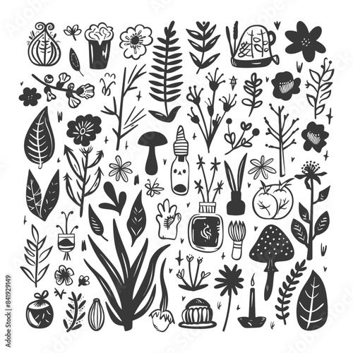 Hand-Drawn Botanical Collection: Ink Sketches of Flowers, Herbs, Mushrooms, and Natural Elements.