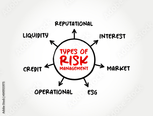 Types of Risk Management - process of identifying, assessing and controlling threats to an organization's capital and earnings, mind map text concept background
