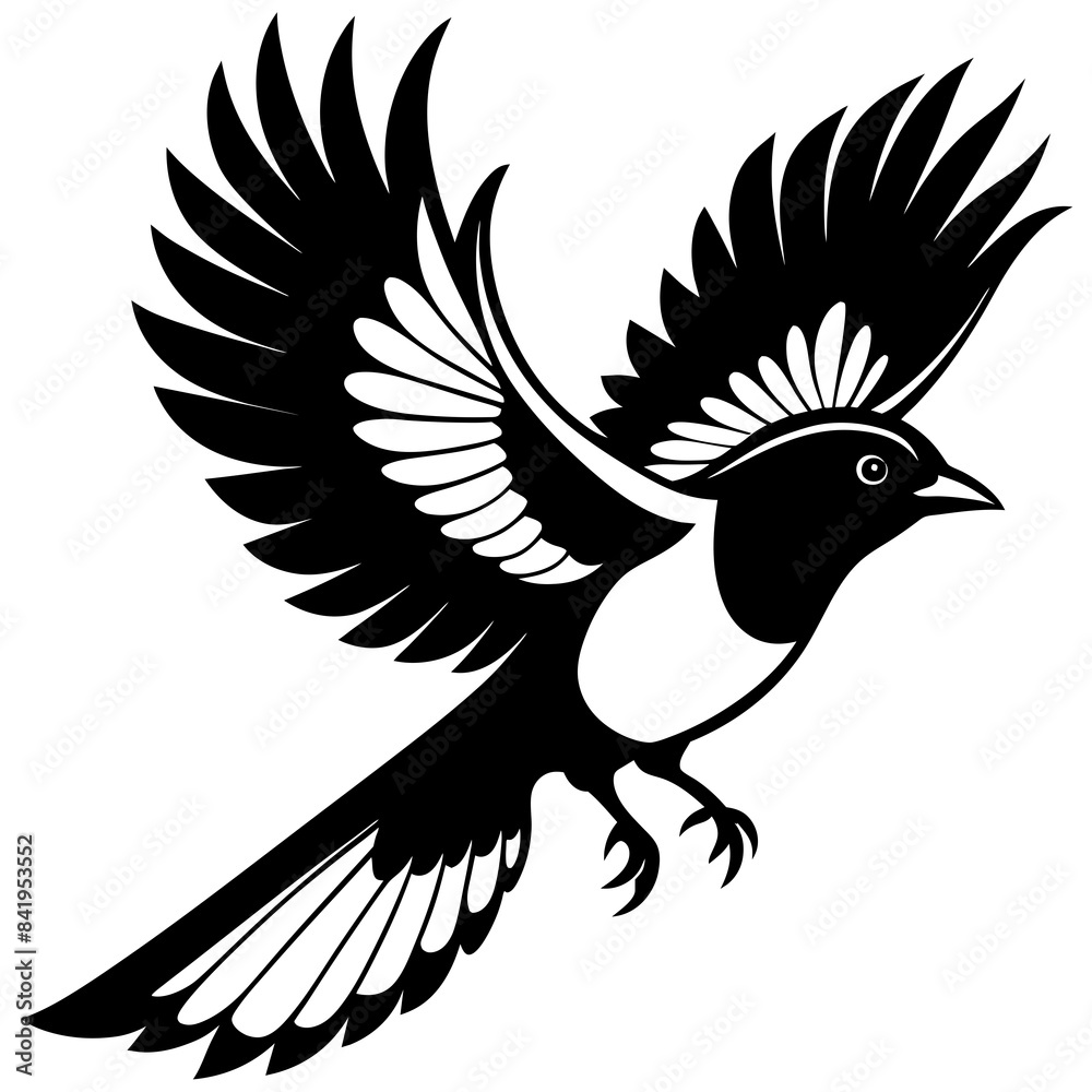 Obraz premium eagle with wings