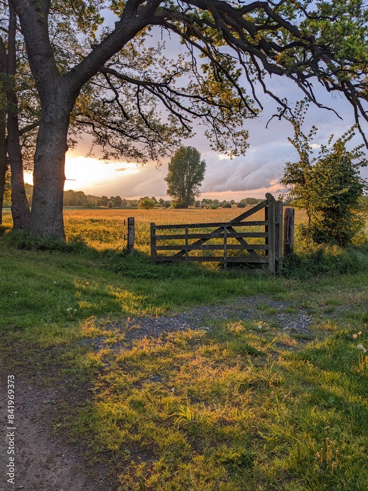 Gartentor an der Wiese im Sonnenuntergang 