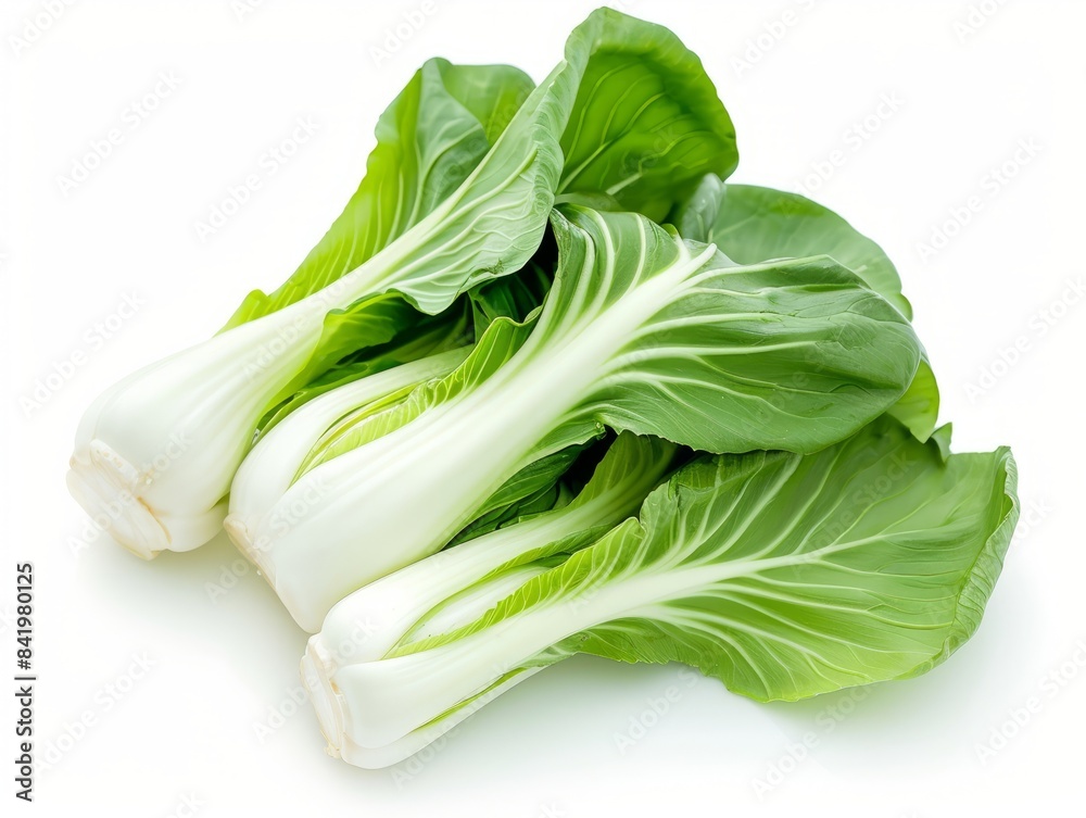 Fresh bok choy or Chinese cabbage, isolated on a white background. Fresh bok choy or Chinese cabbage, isolated on a white background.