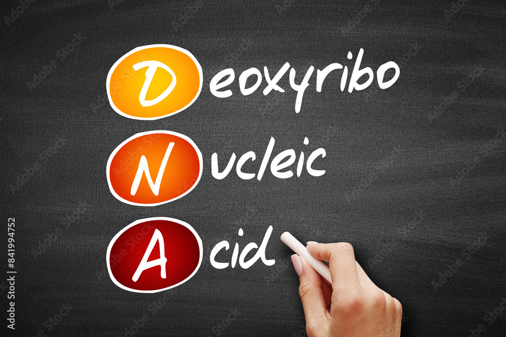 DNA - Deoxyribonucleic Acid, acronym on blackboard DNA - Deoxyribonucleic Acid, acronym on blackboard