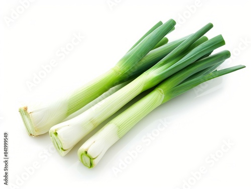 A bunch of fresh green leek tied together with a green rubber band  isolated on a white background.